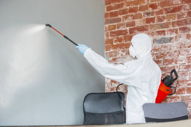 Best Emergency Mold Remediation  in Oak Hill, WV