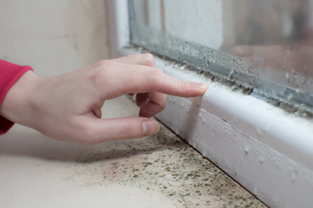 Forensic Mold Investigation in Oak Hill, WV