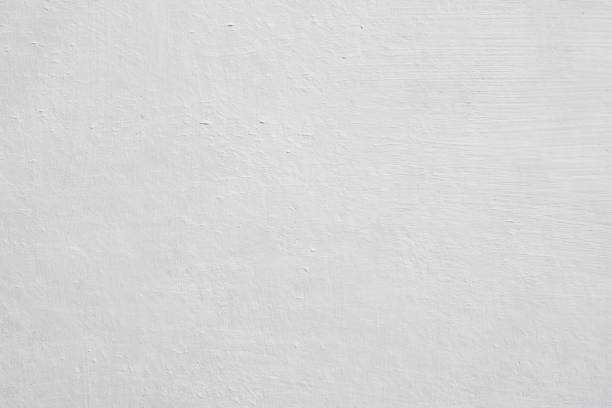 Best Basement Mold Removal  in Oak Hill, WV